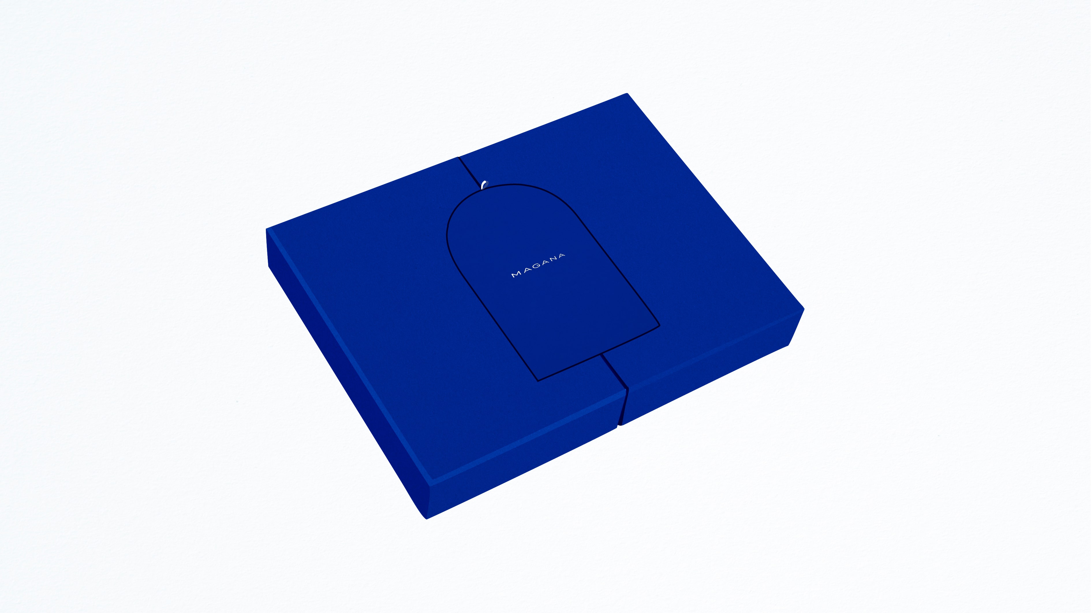 Louis Larrouturou - Art Direction Magana — Identity