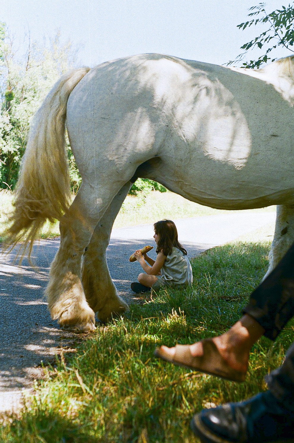 Louis Larrouturou - Art Direction EDEN w/ Layla Blanco
